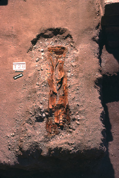 1978: excavation of ecclesiastics' tombs