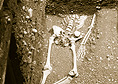 2000-2001: Découverte d'une sépulture allobroge (120 av. J.-C.)
